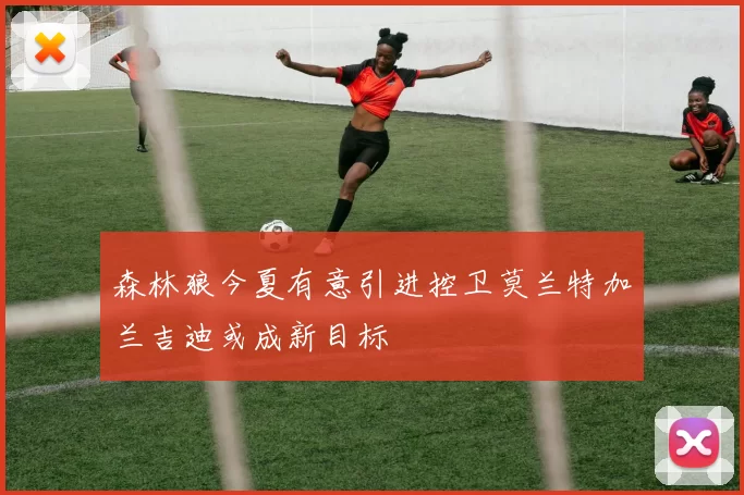 森林狼今夏有意引进控卫莫兰特加兰吉迪或成新目标